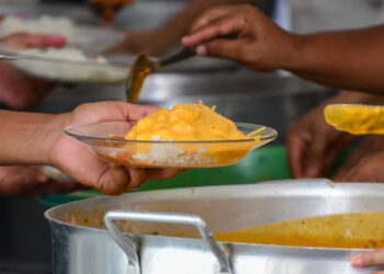 Inclusão do camarão na merenda escolar fortalece cadeia produtiva do crustáceo em Sergipe