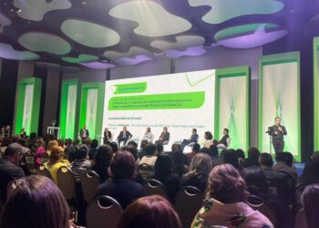 Secretaria da Educação de Aracaju participa de Seminário Nacional pela Alfabetização