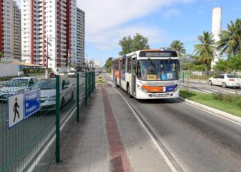 Corredores de ônibus otimizam tempo de deslocamento dos usuários do transporte coletivo