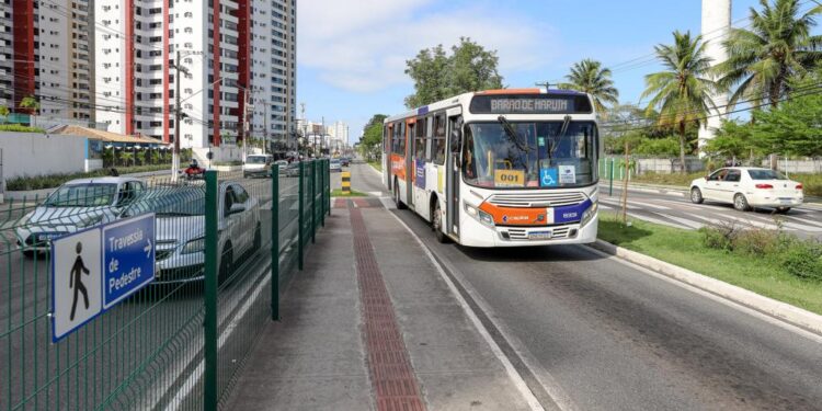 Corredores de ônibus otimizam tempo de deslocamento dos usuários do transporte coletivo