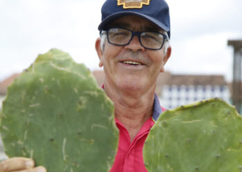 Governo de Sergipe distribui sementes de palma forrageira para criadores das regiões sul e centro sul do estado