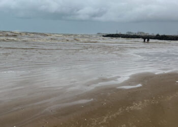 Vistoria da Adema na Praia da Costa descarta informação sobre aparecimento de óleo
