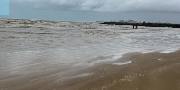 Vistoria da Adema na Praia da Costa descarta informação sobre aparecimento de óleo