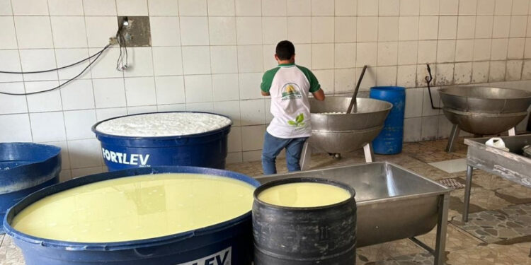 Governo de Sergipe fiscaliza queijarias e fabriquetas em Porto da Folha, no alto sertão do estado