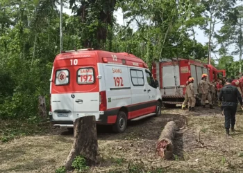 Queda de avião de pequeno porte deixa 12 mortos no Acre