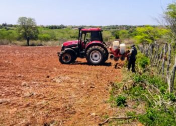 Produtores da irrigação pública estadual vão produzir sementes no alto sertão