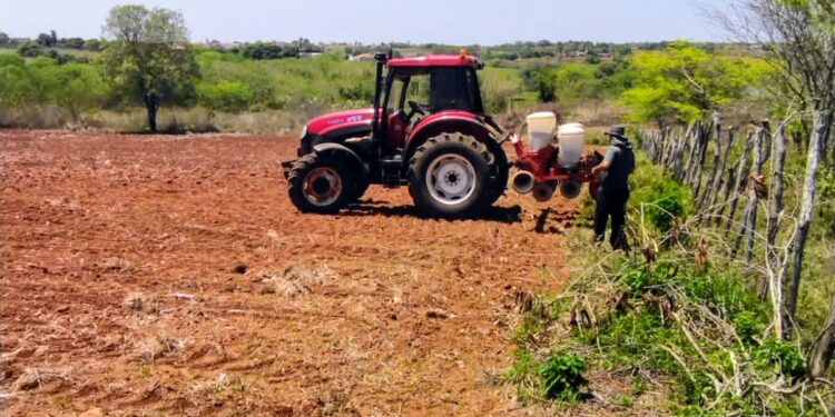 Produtores da irrigação pública estadual vão produzir sementes no alto sertão