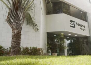 Banese destinou mais de R$ 189 milhões em crédito para o Agro no ano agrícola 2022-2023