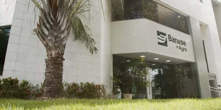 Banese destinou mais de R$ 189 milhões em crédito para o Agro no ano agrícola 2022-2023