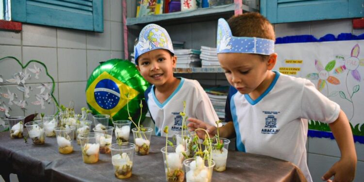 Prefeitura de Aracaju trabalha cultura de paz na III Plenarinha da Educação Infantil