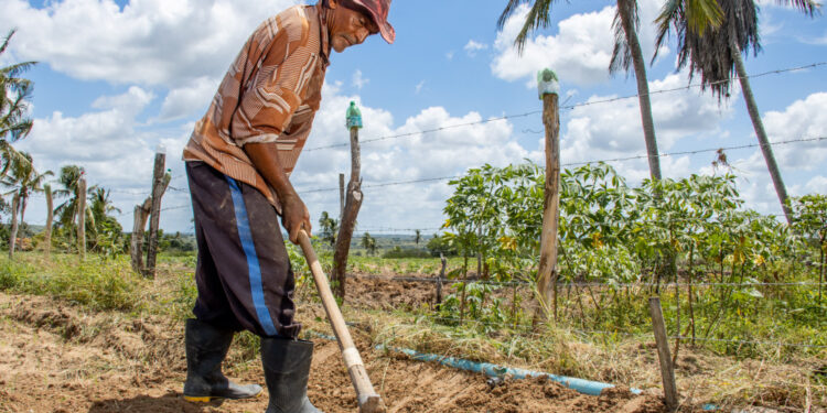 Sergipe será contemplado pelo Projeto Sertão com recursos do Fida e BNDES