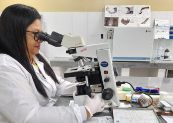 Lacen libera resultados de análises laboratoriais em tempo real