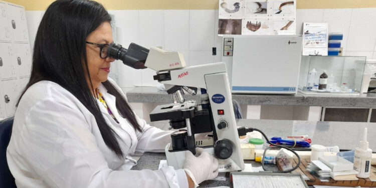 Lacen libera resultados de análises laboratoriais em tempo real