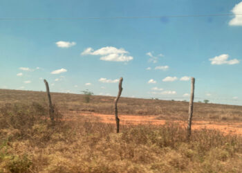 Análise da Semac indica intensificação da seca no alto sertão sergipano em setembro