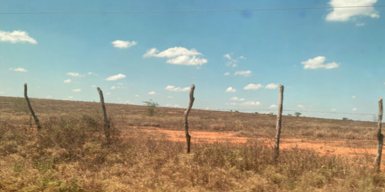 Análise da Semac indica intensificação da seca no alto sertão sergipano em setembro