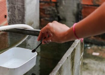 LIRAa identifica três municípios sergipanos em situação de alto risco de infestação pelo Aedes aegypti