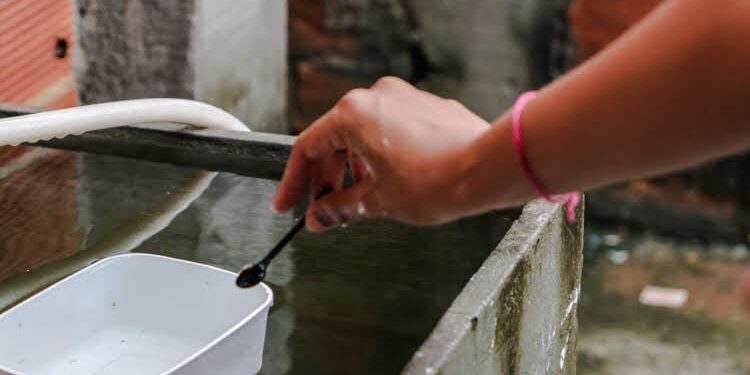 LIRAa identifica três municípios sergipanos em situação de alto risco de infestação pelo Aedes aegypti