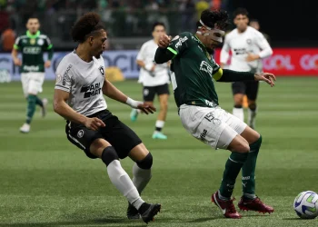 Tentando retomar caminho das vitórias, líder Botafogo recebe Palmeiras