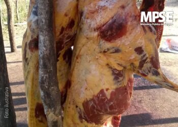 MP/SE ajuíza Ação de Execução de TAC após Itabi descumprir acordo para regularização de matadouro