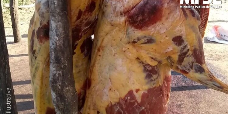 MP/SE ajuíza Ação de Execução de TAC após Itabi descumprir acordo para regularização de matadouro