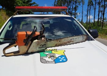 Polícia Militar flagra uso irregular de motosserra em Socorro