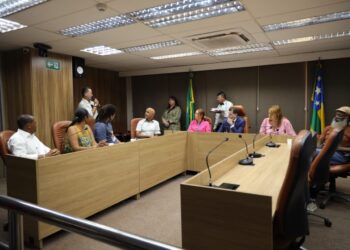 Audiência Pública debate a educação antirracista na Alese