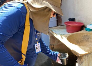 Lacen utiliza armadilhas de ovitampras para auxiliar no mapeamento de Aedes aegypti 