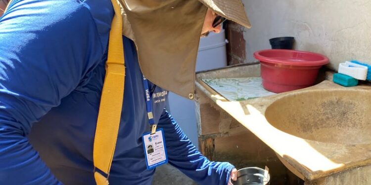 Lacen utiliza armadilhas de ovitampras para auxiliar no mapeamento de Aedes aegypti 