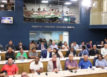Regulamentação de transporte complementar é debatida em audiência na CMA