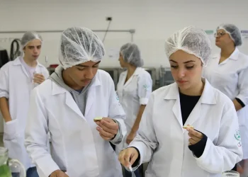 Educação técnica está entre investimentos mais rentáveis, diz pesquisa