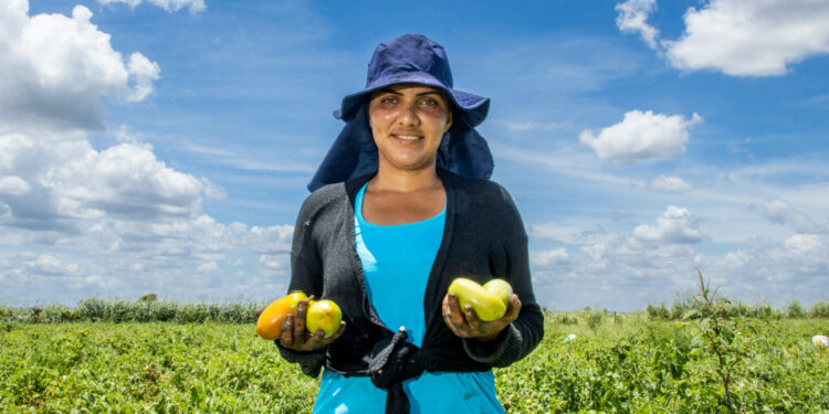 Feira da Reforma Agrária e Agroecologia 2023 começa nesta quarta-feira