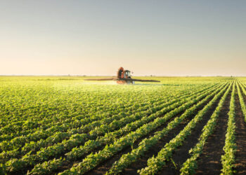 PIB do agronegócio recua no primeiro ano de governo Lula