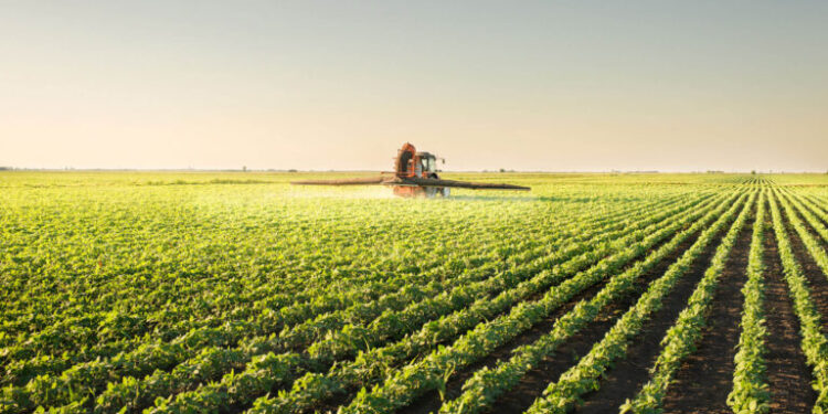 PIB do agronegócio recua no primeiro ano de governo Lula