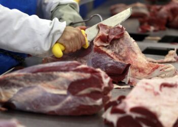 Venda de carne em mercados está na mira do Ministério Público de Sergipe