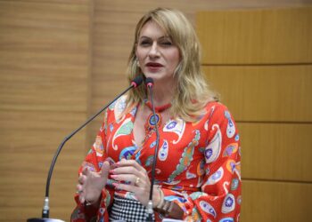 Linda Brasil pede realização de concurso público na Educação