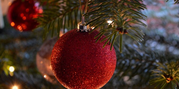 Energisa orienta sobre cuidados na decoração natalina para evitar acidentesClientes são orientados a decorar com segurança