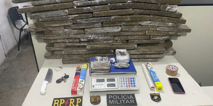 Polícia Militar apreende 65kg de maconha em Nossa Senhora do Socorro