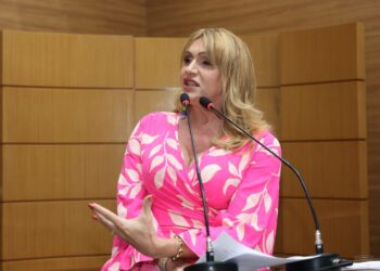 Linda Brasil protesta contra ‘tempo curto’ para análise de projetos