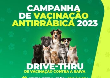 Prefeitura de Socorro realizará o drive-thru de vacinação antirrábica nesta sexta-feira