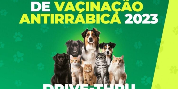 Prefeitura de Socorro realizará o drive-thru de vacinação antirrábica nesta sexta-feira