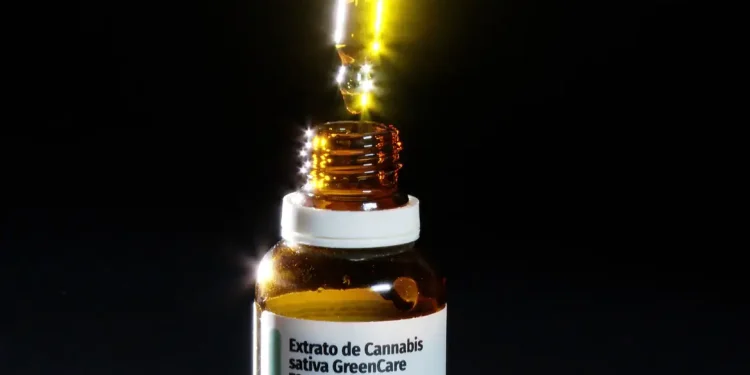 Governo de SP regulamenta fornecimento de cannabis medicinal pelo SUS
