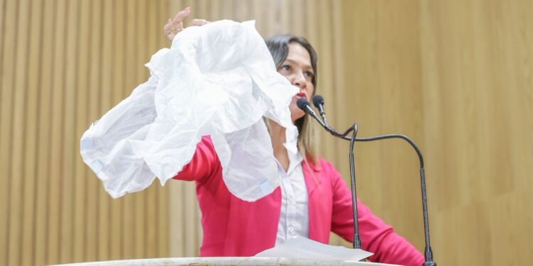 Sheyla leva fralda para plenário e denuncia a má qualidade do material ofertado à população