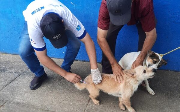 Vacinação Antirrábica: Dia D acontece em diversos bairros de Itabaiana no dia 09 de dezembro