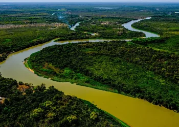 BNDES e Petrobras investem na conservação do Cerrado e do Pantanal