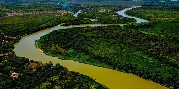 BNDES e Petrobras investem na conservação do Cerrado e do Pantanal