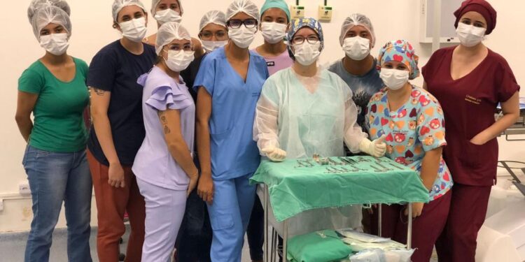 Sessões temáticas e mini-cursos marcam o 2º dia do Fórum de Proteção, Saúde e Bem-estar Animal