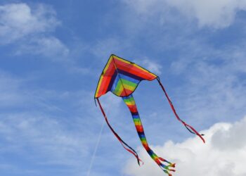 Aracaju lidera ranking de ocorrências com pipa na rede elétrica