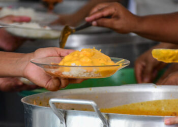 Camarão e aumento da participação da agricultura familiar são ingredientes a mais na alimentação escolar