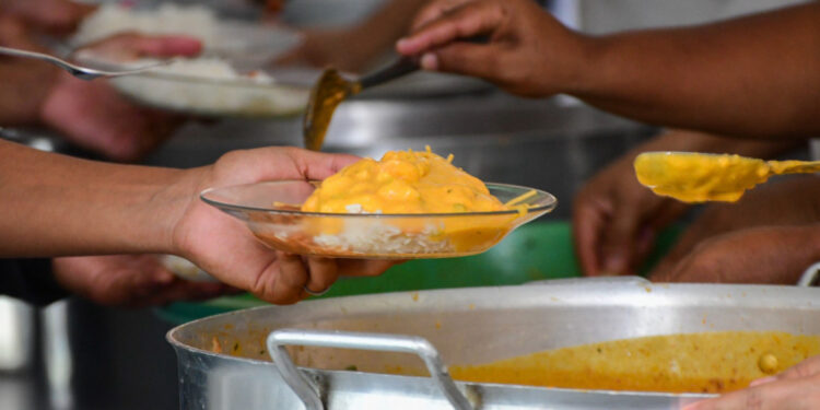 Camarão e aumento da participação da agricultura familiar são ingredientes a mais na alimentação escolar