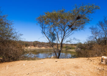 Secretaria de Meio Ambiente emite alerta de baixa umidade para três municípios do alto sertão sergipano 